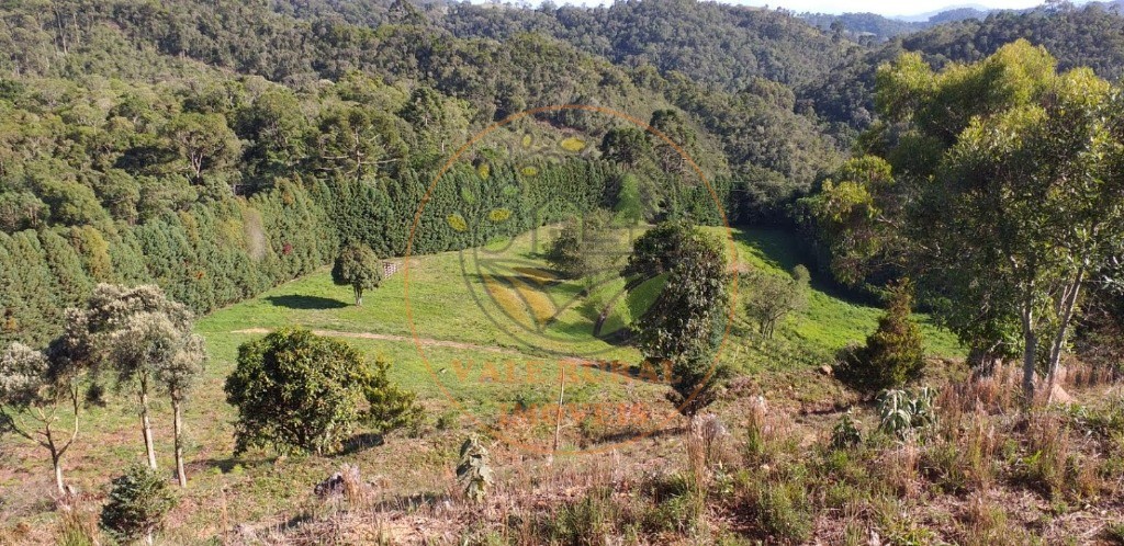 Fazenda - Foto 39