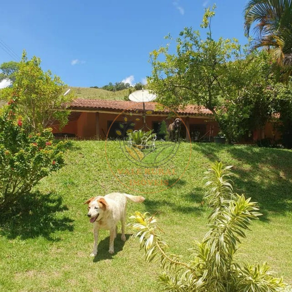 Sítio, 3 quartos, 43000 m² - Foto 6