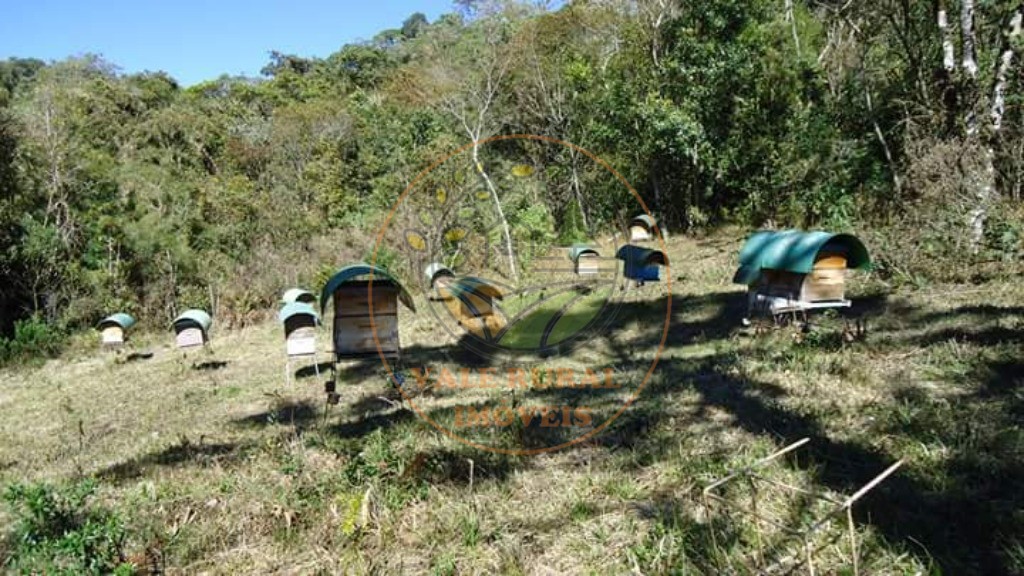 Fazenda - Foto 32