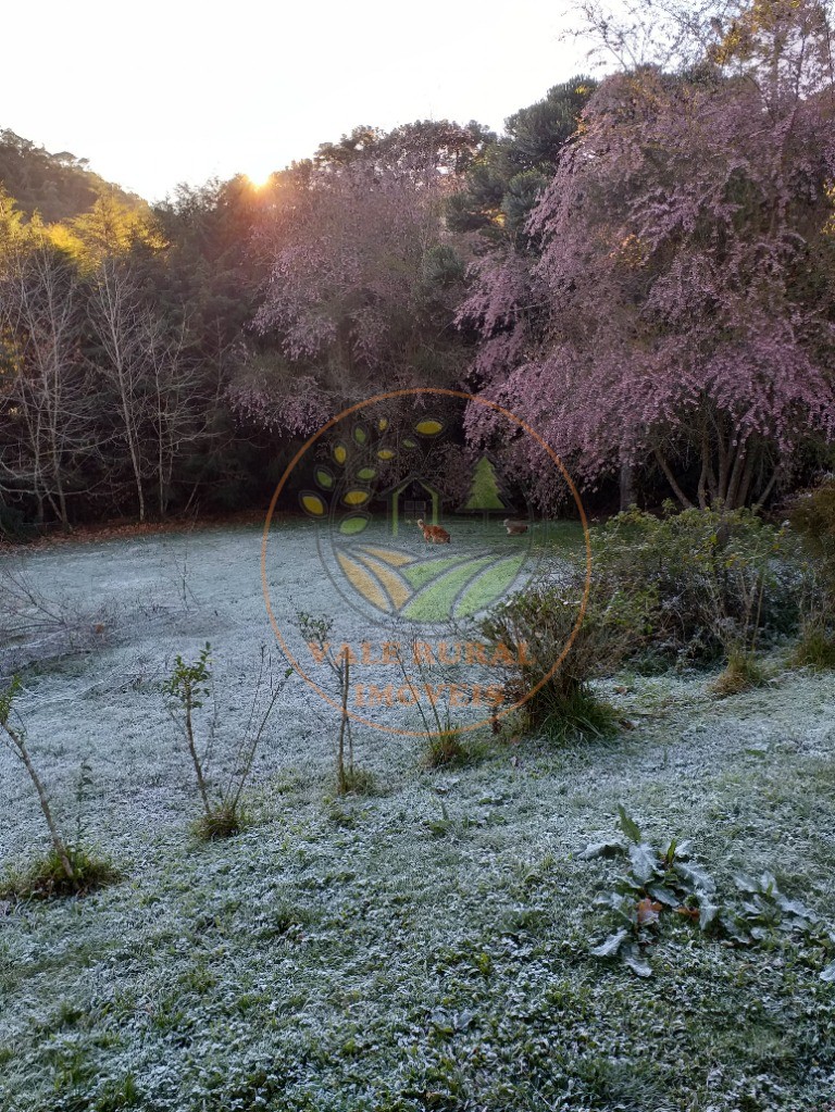 Fazenda - Foto 26