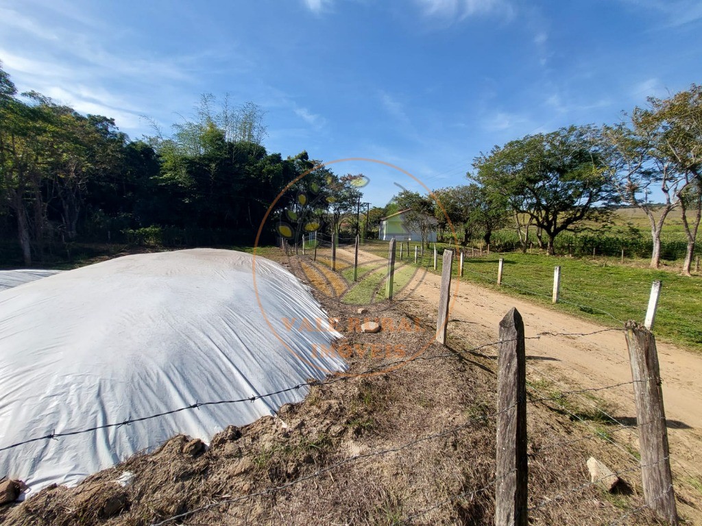 Fazenda, 3 quartos - Foto 45