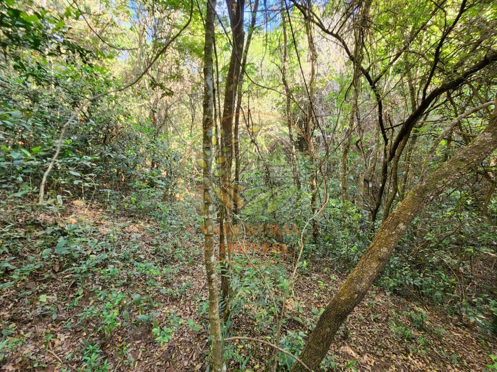 Fazenda, 2 quartos - Foto 24
