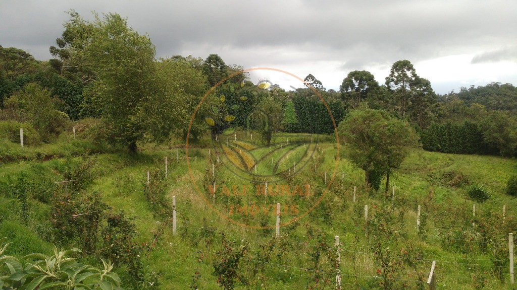 Fazenda - Foto 33