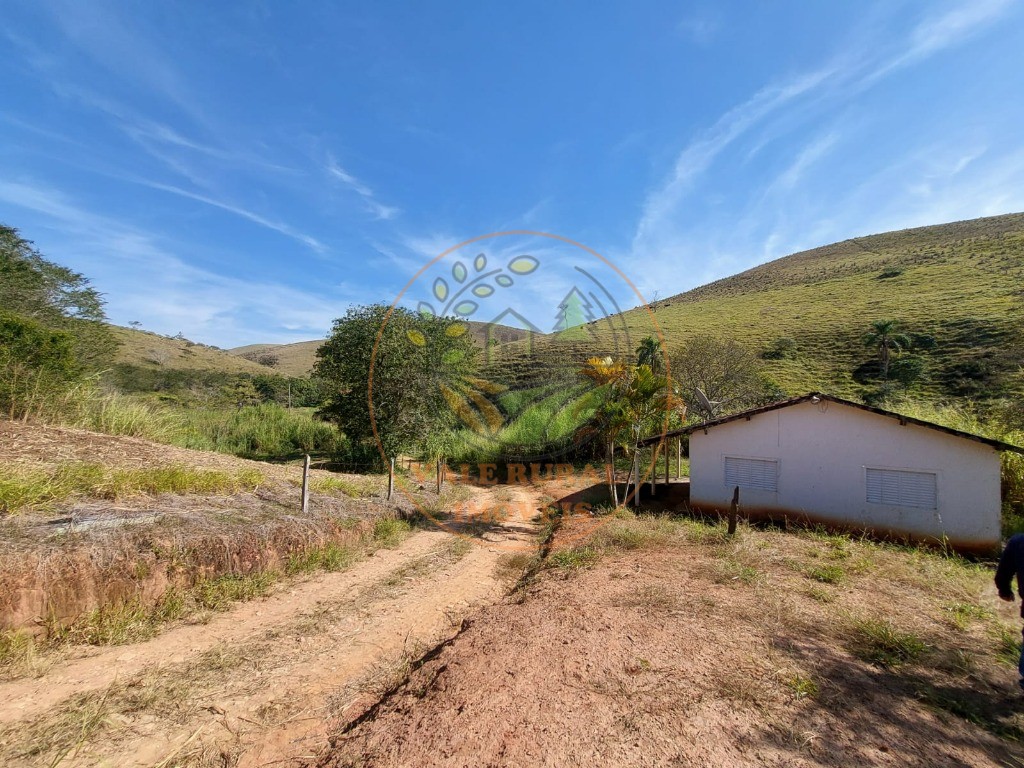 Fazenda, 3 quartos - Foto 41