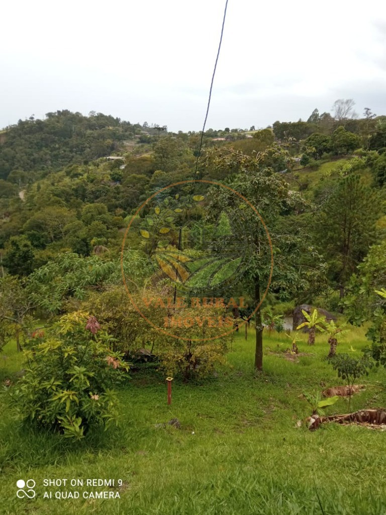 Chácara, 5 quartos - Foto 1
