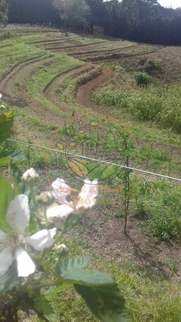 Fazenda - Foto 24
