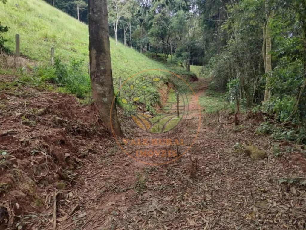 Chácara, 3 quartos - Foto 5