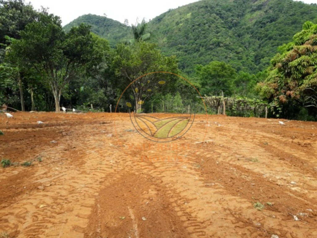 Fazenda - Foto 17