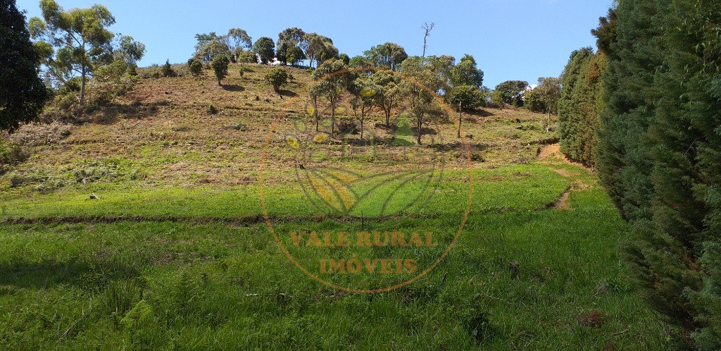 Fazenda - Foto 30