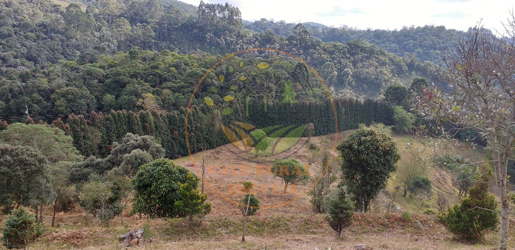 Fazenda - Foto 27