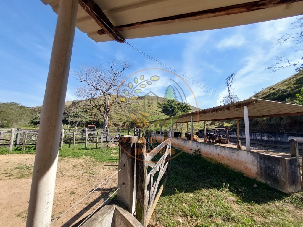 Fazenda, 3 quartos - Foto 12
