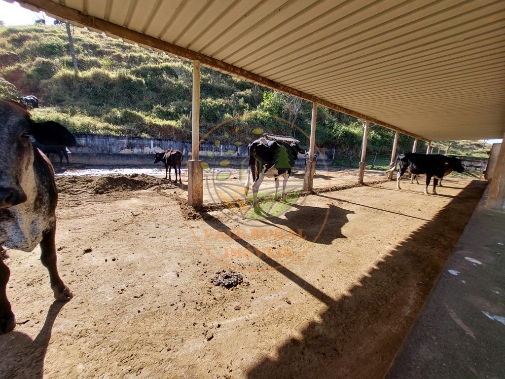 Fazenda, 3 quartos - Foto 15