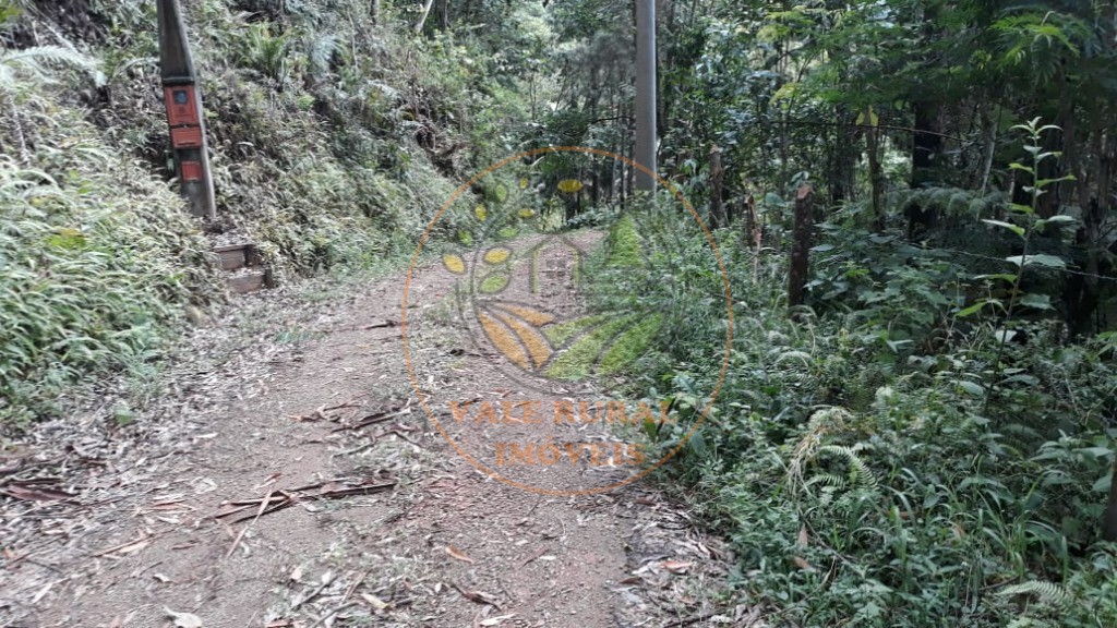 Fazenda - Foto 4