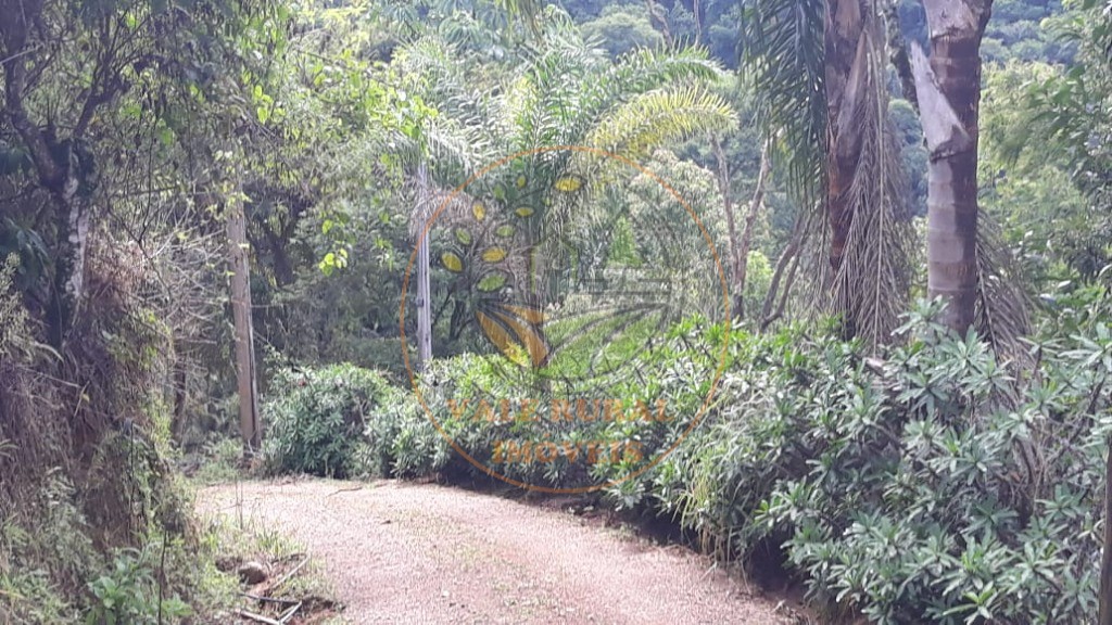 Fazenda - Foto 2