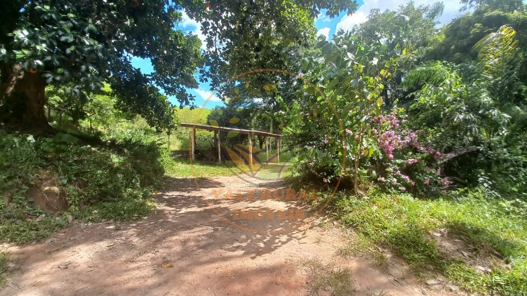 Sítio, 3 quartos, 12 m² - Foto 6