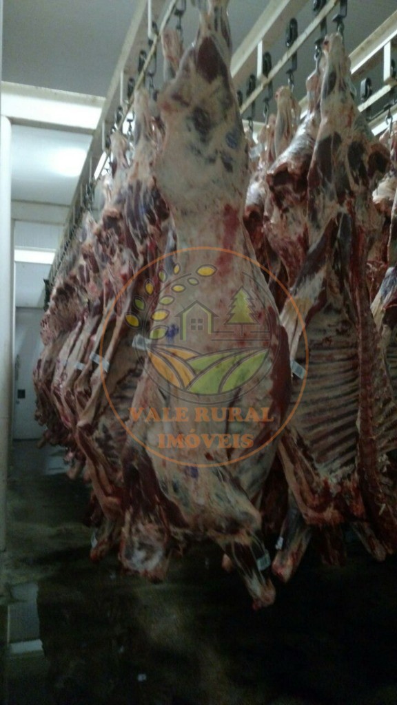 Fazenda - Foto 8