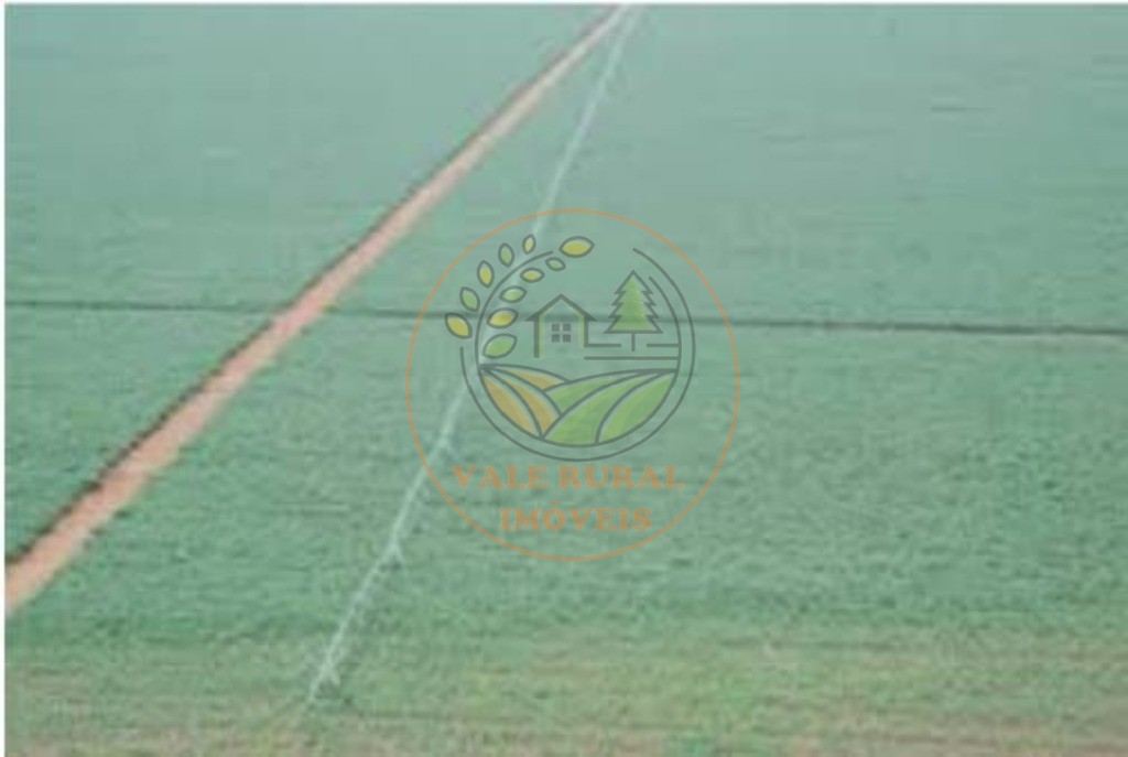 Fazenda - Foto 11