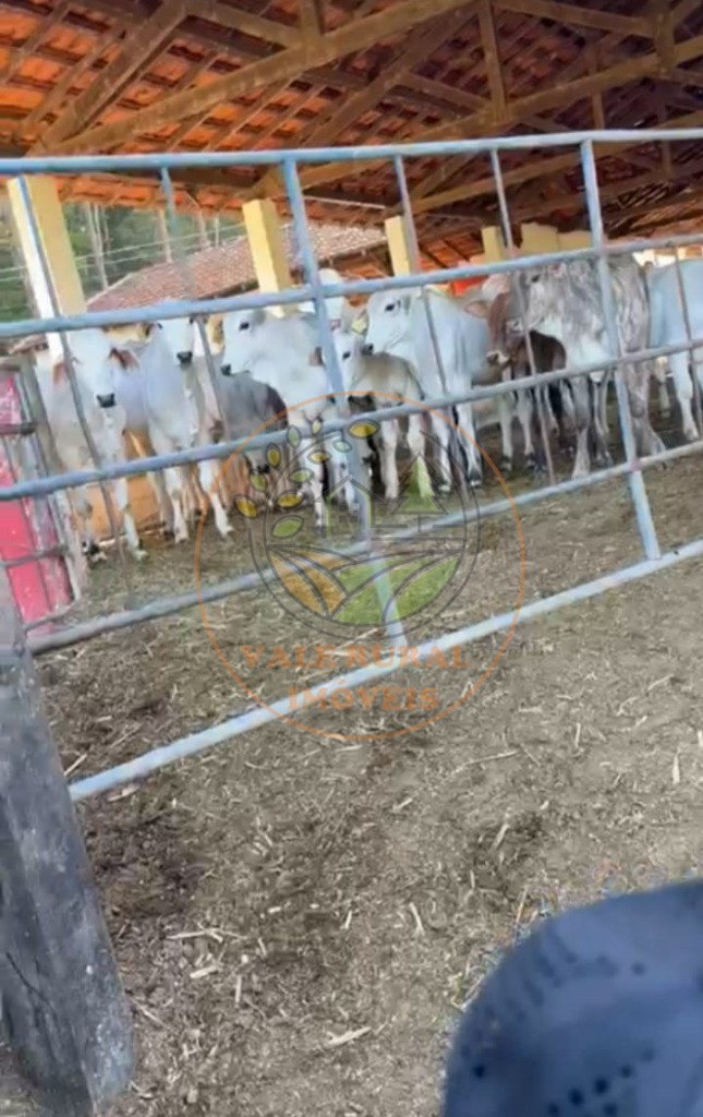 Fazenda, 3 quartos - Foto 57