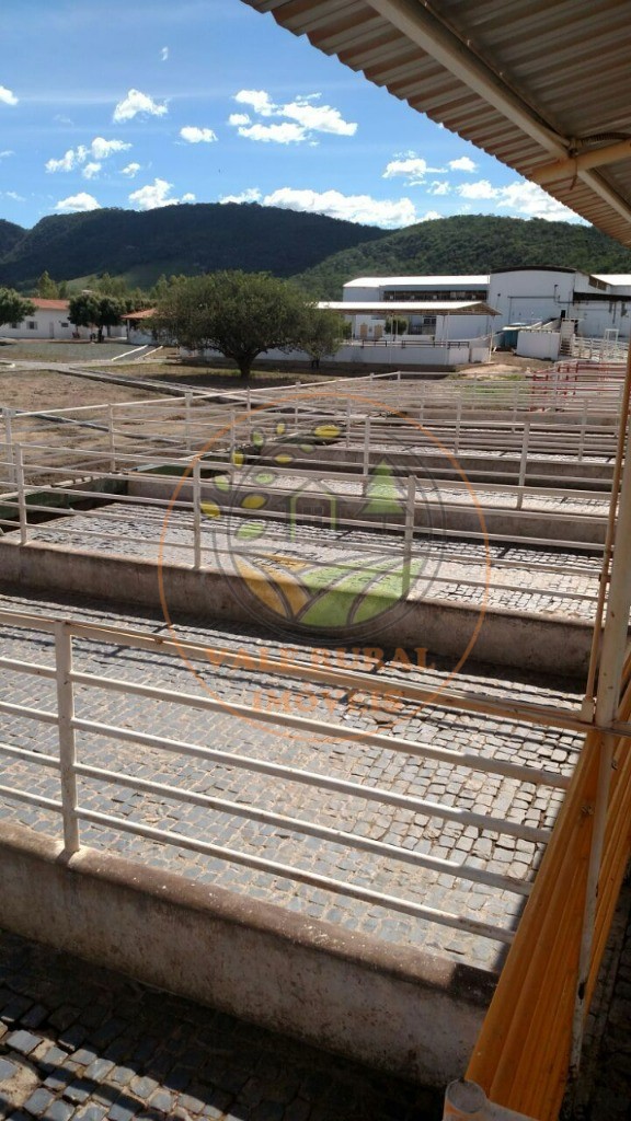 Fazenda - Foto 6