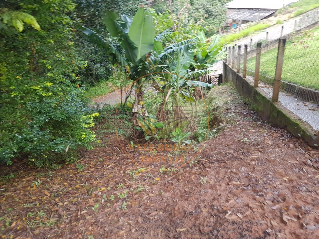 Fazenda - Foto 12