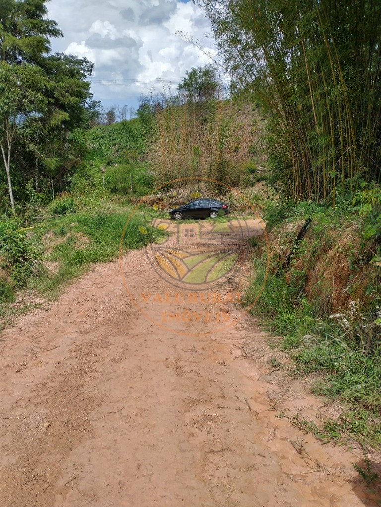 Fazenda - Foto 4