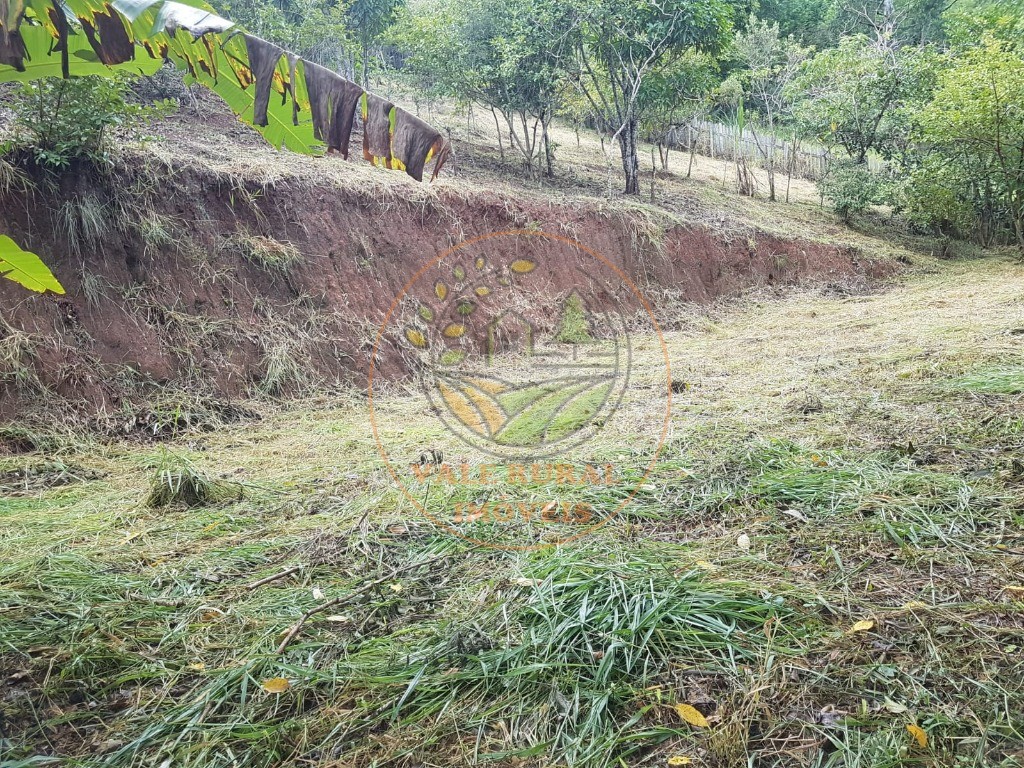 Fazenda - Foto 1
