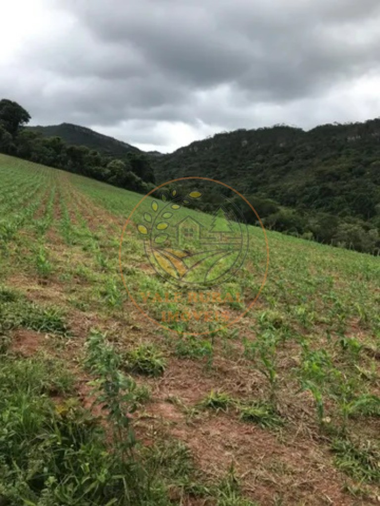 Fazenda, 3 quartos - Foto 2