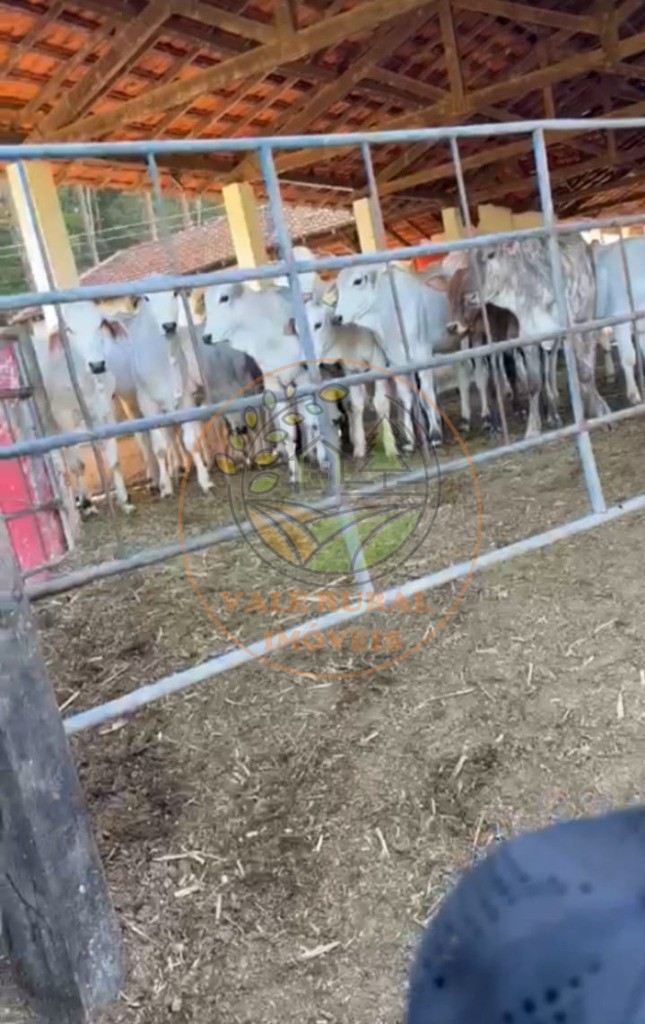 Fazenda, 3 quartos - Foto 64