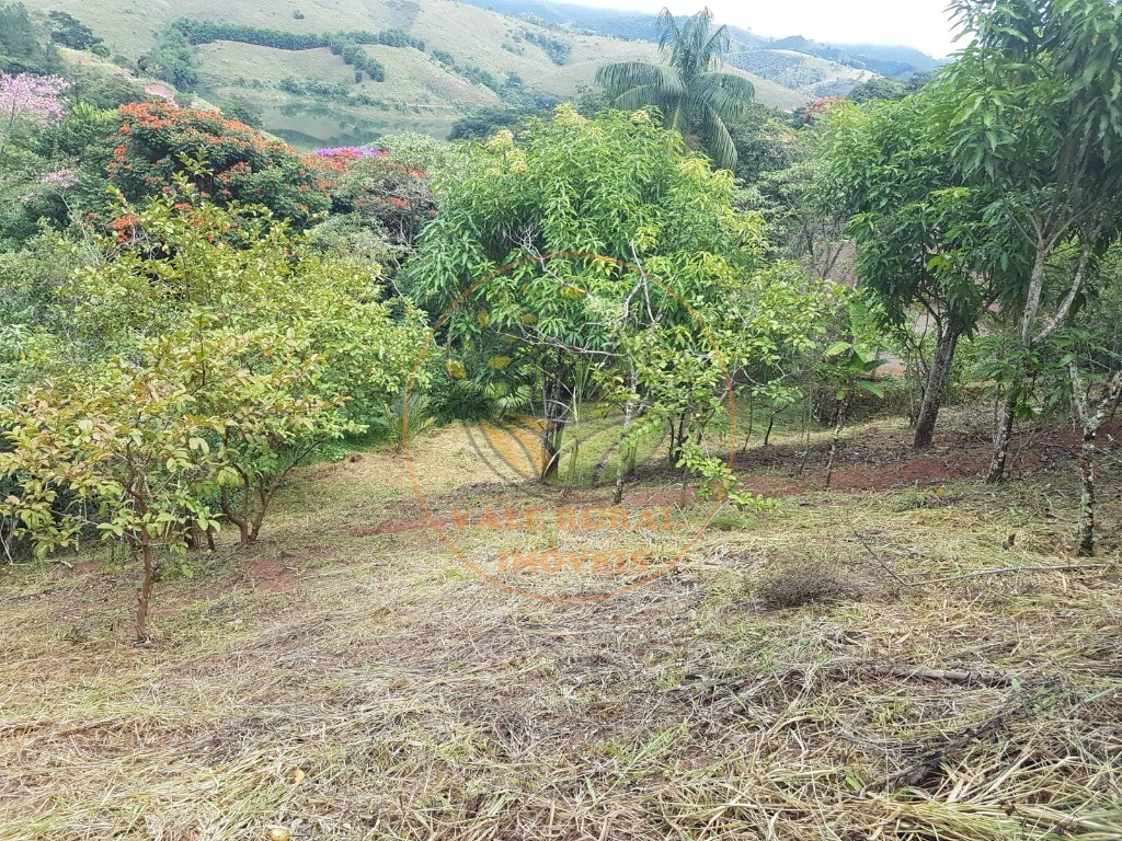 Fazenda - Foto 11