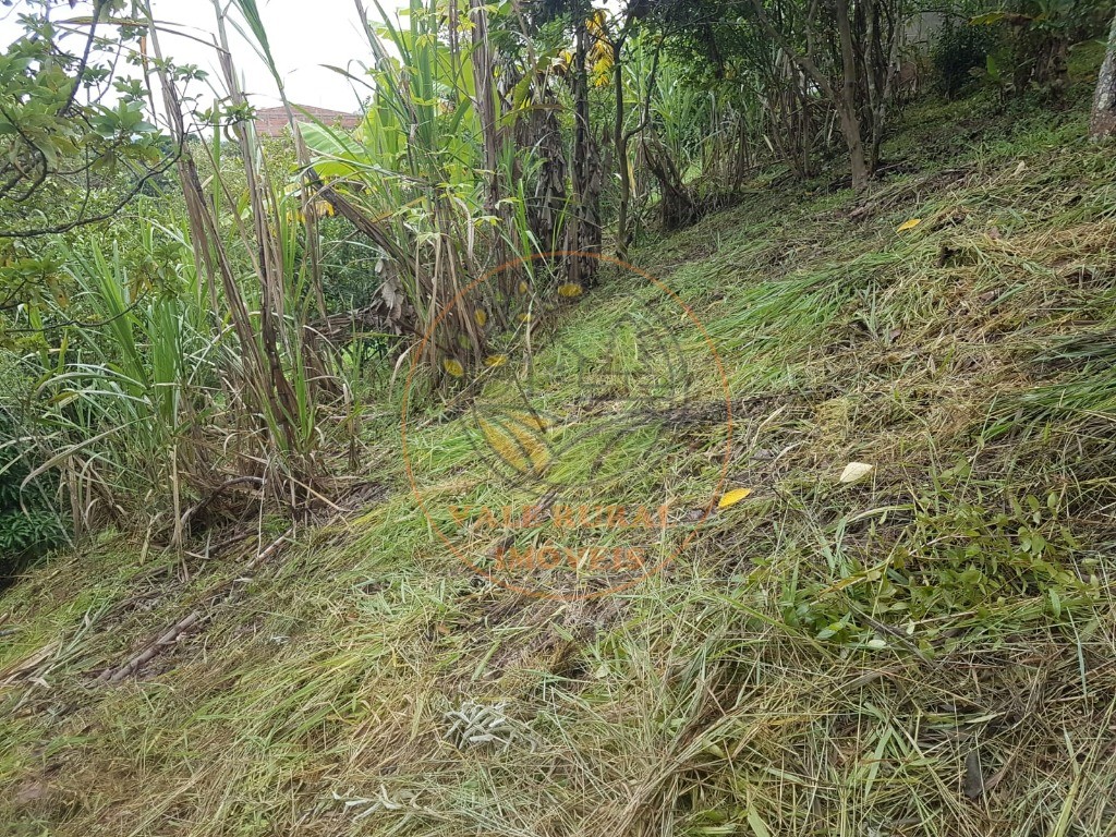 Fazenda - Foto 4