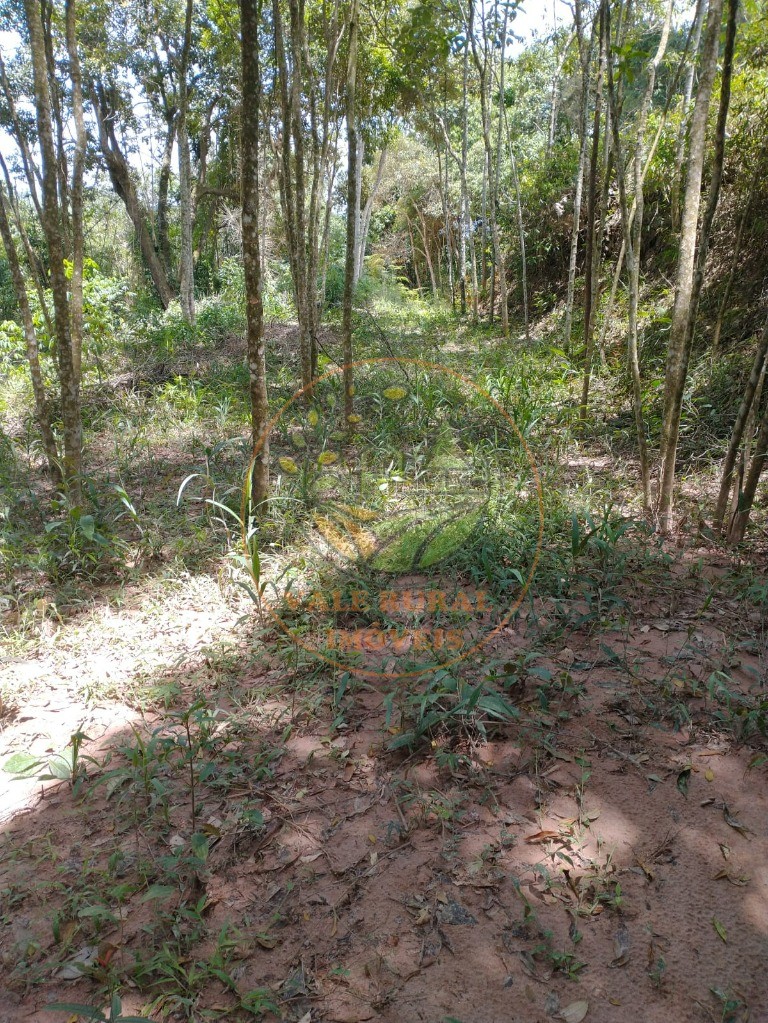Fazenda - Foto 3