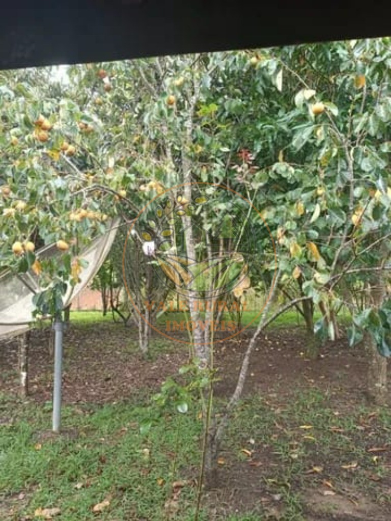 Chácara, 2 quartos - Foto 11