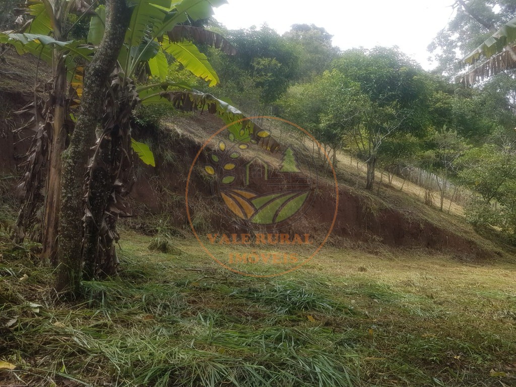 Fazenda - Foto 10