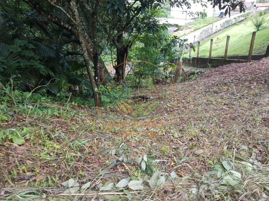 Fazenda - Foto 3