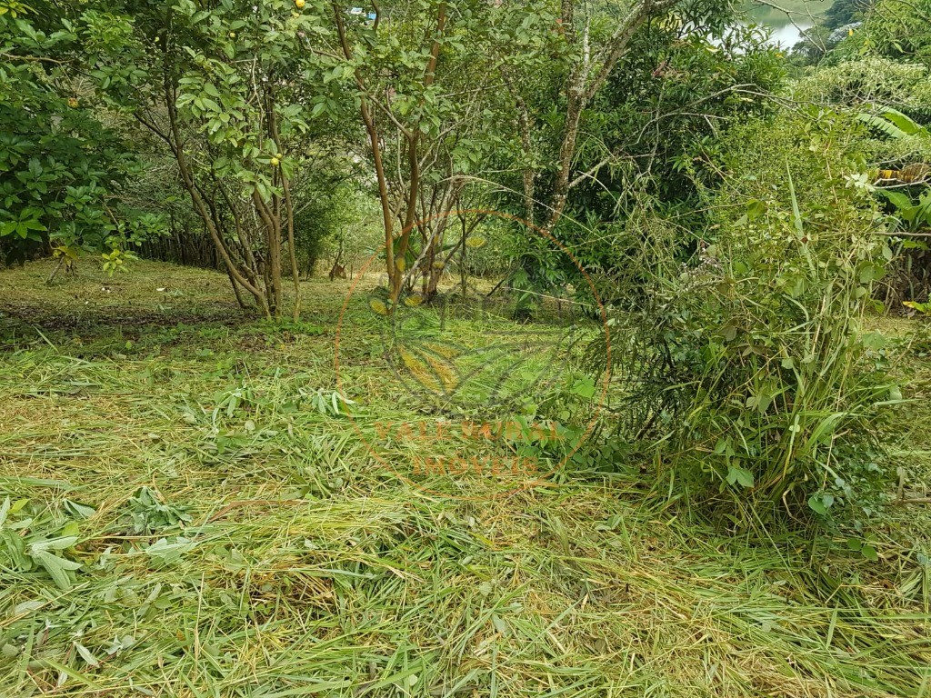 Fazenda - Foto 6