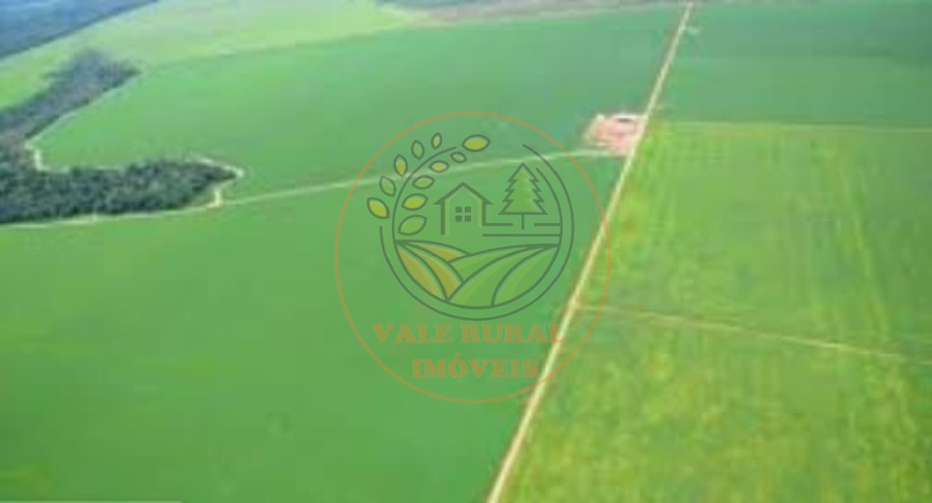 Fazenda - Foto 10