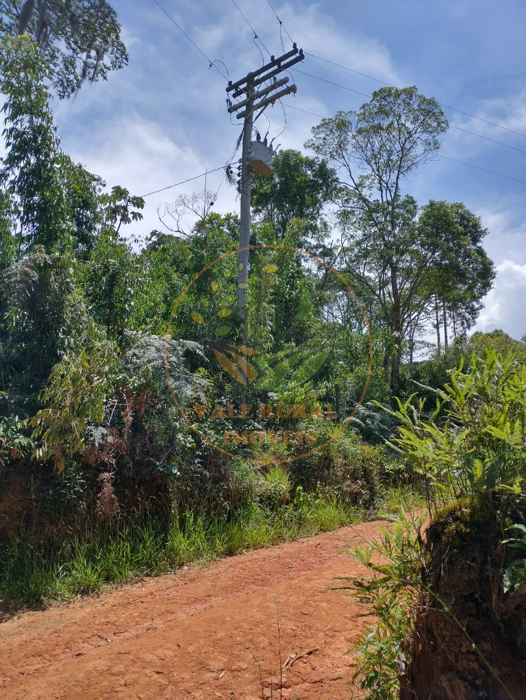 Fazenda - Foto 5