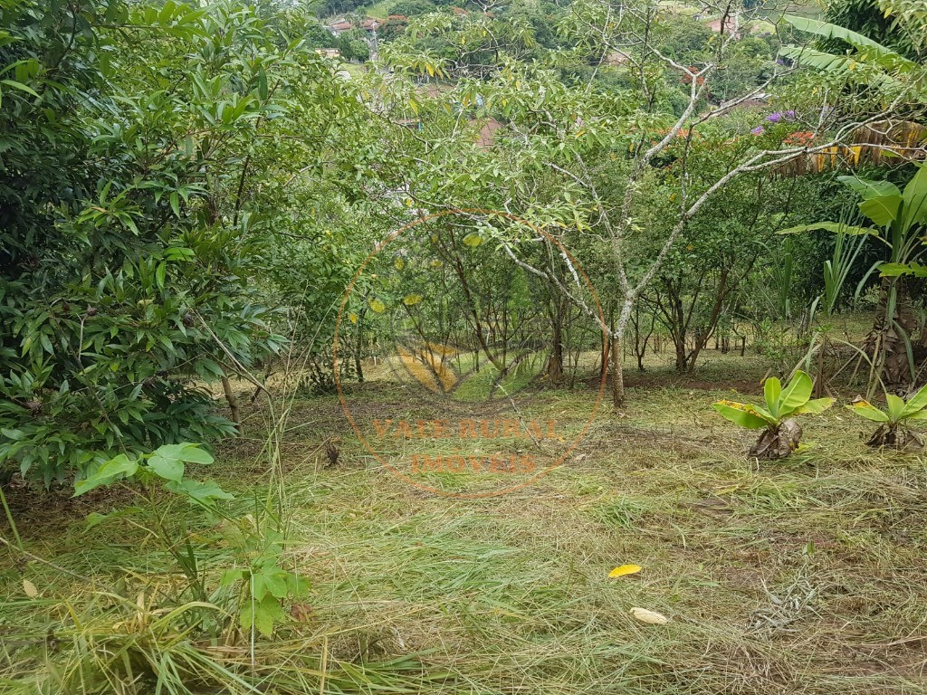 Fazenda - Foto 5