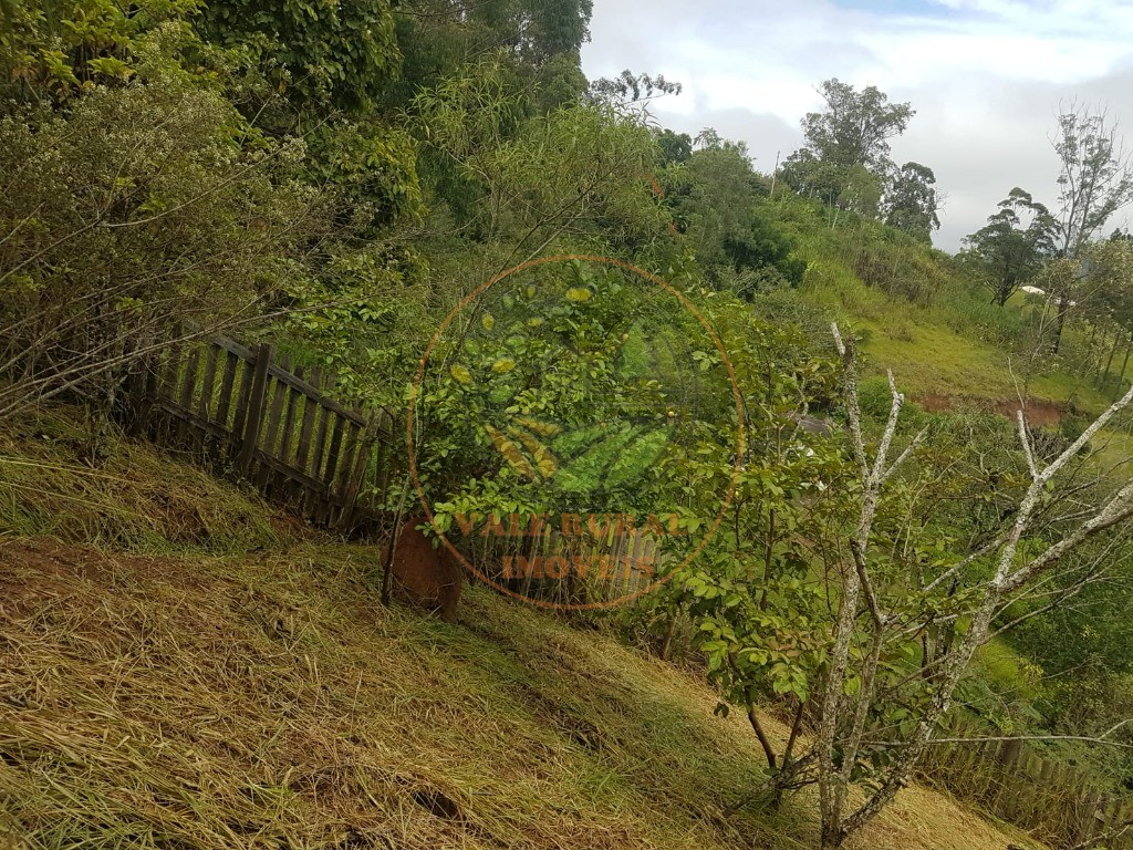 Fazenda - Foto 2