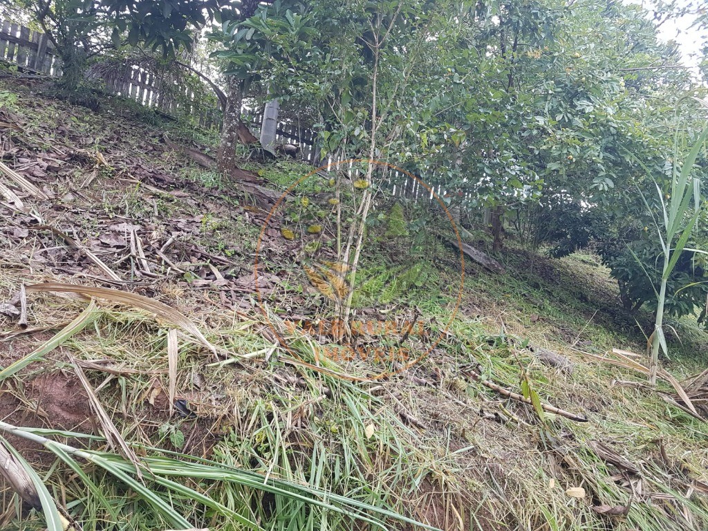 Fazenda - Foto 7
