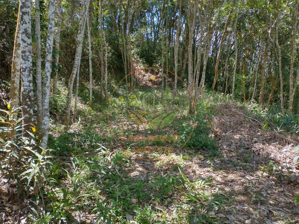 Fazenda - Foto 1