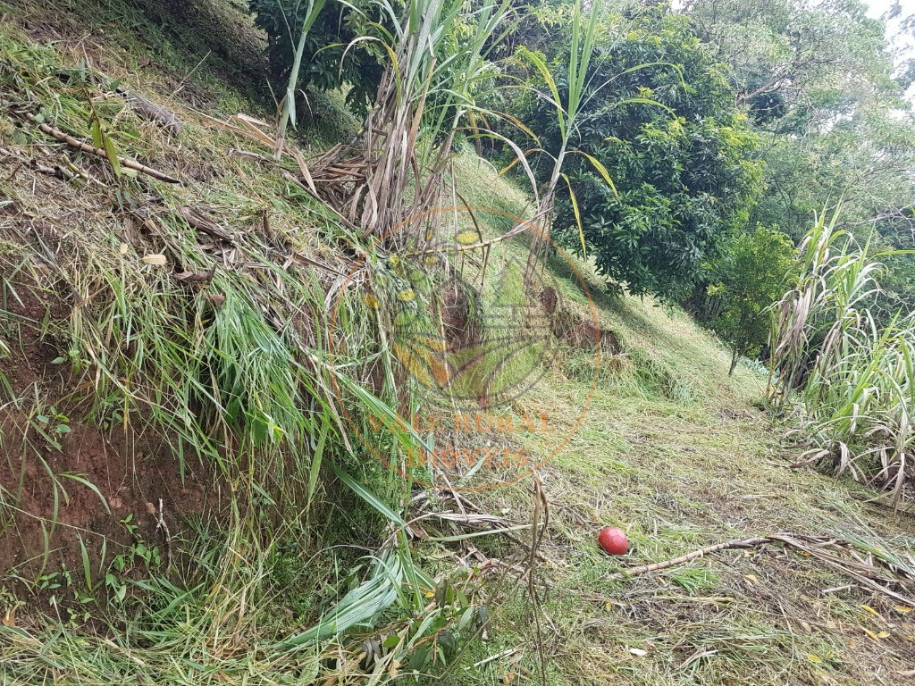 Fazenda - Foto 9