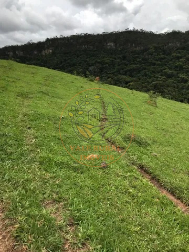 Fazenda, 3 quartos - Foto 5