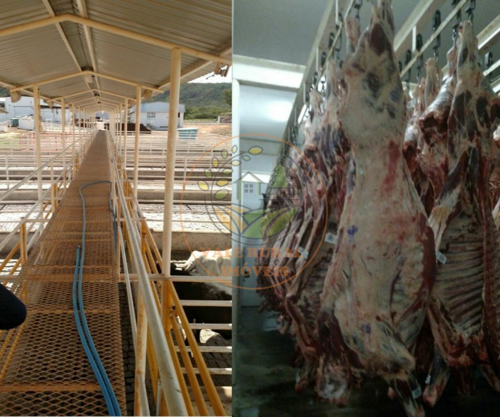 Fazenda - Foto 7