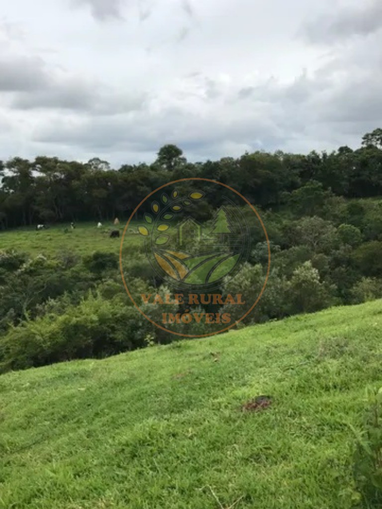 Fazenda, 3 quartos - Foto 9