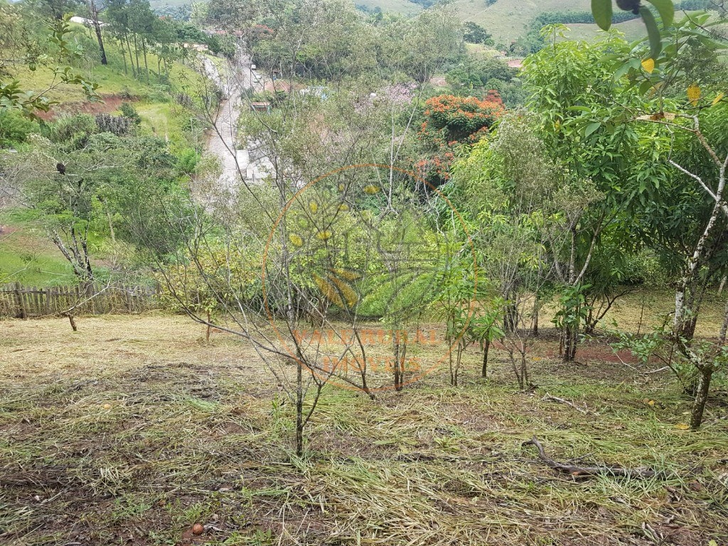 Fazenda - Foto 8