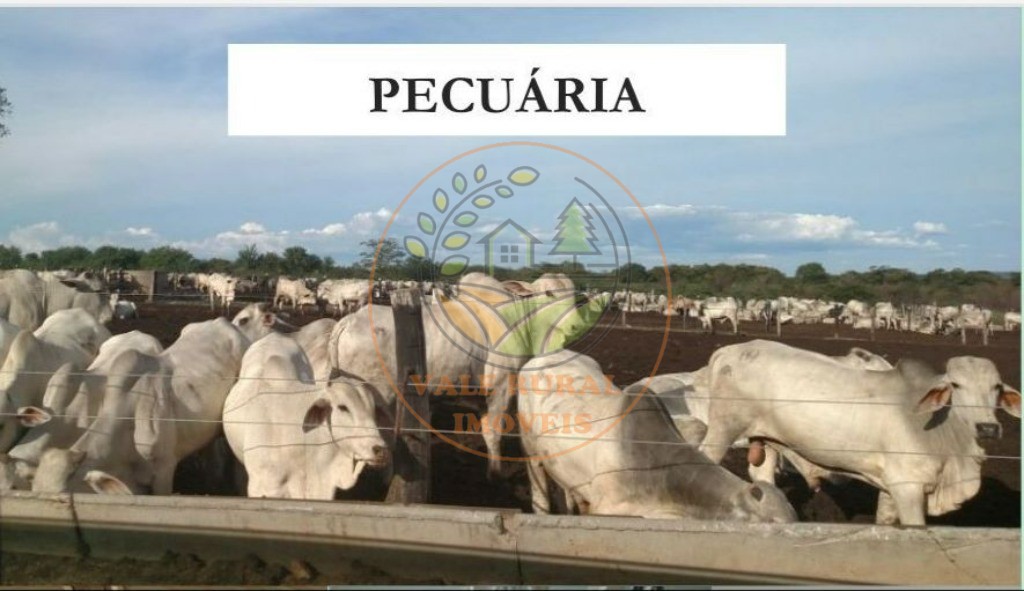 Fazenda - Foto 2