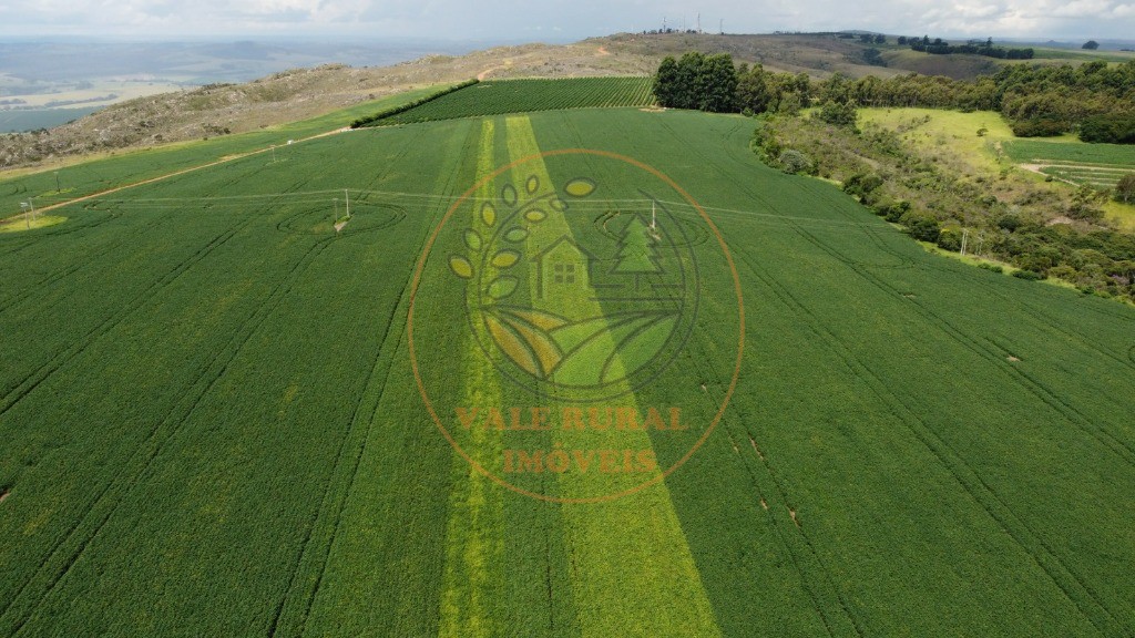 Fazenda - Foto 21