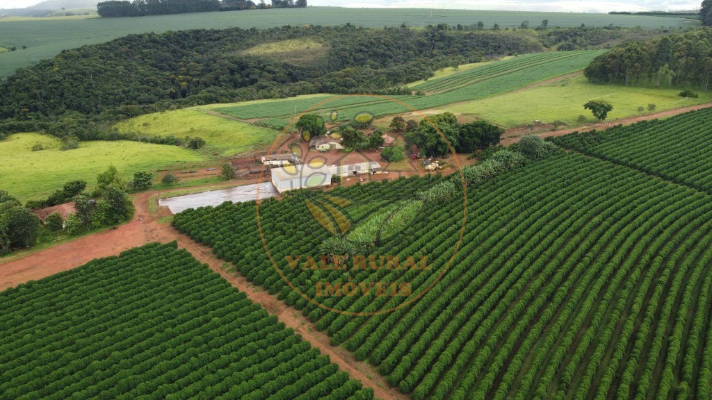 Fazenda - Foto 12