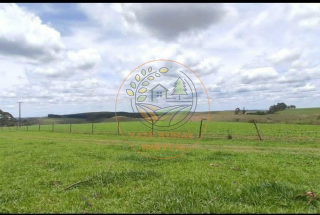 Fazenda - Foto 9